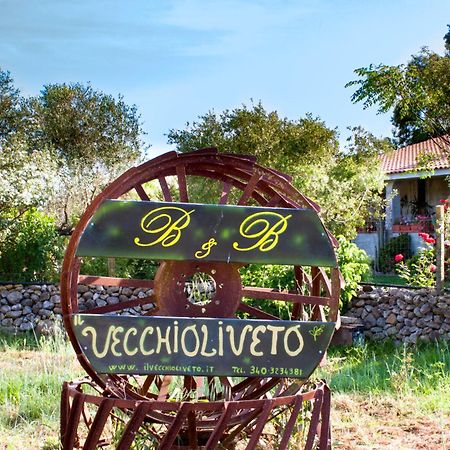 Il Vecchioliveto Di Ornella Acomodação com café da manhã Marrùbiu Exterior foto