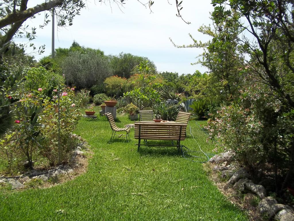 Il Vecchioliveto Di Ornella Acomodação com café da manhã Marrùbiu Quarto foto
