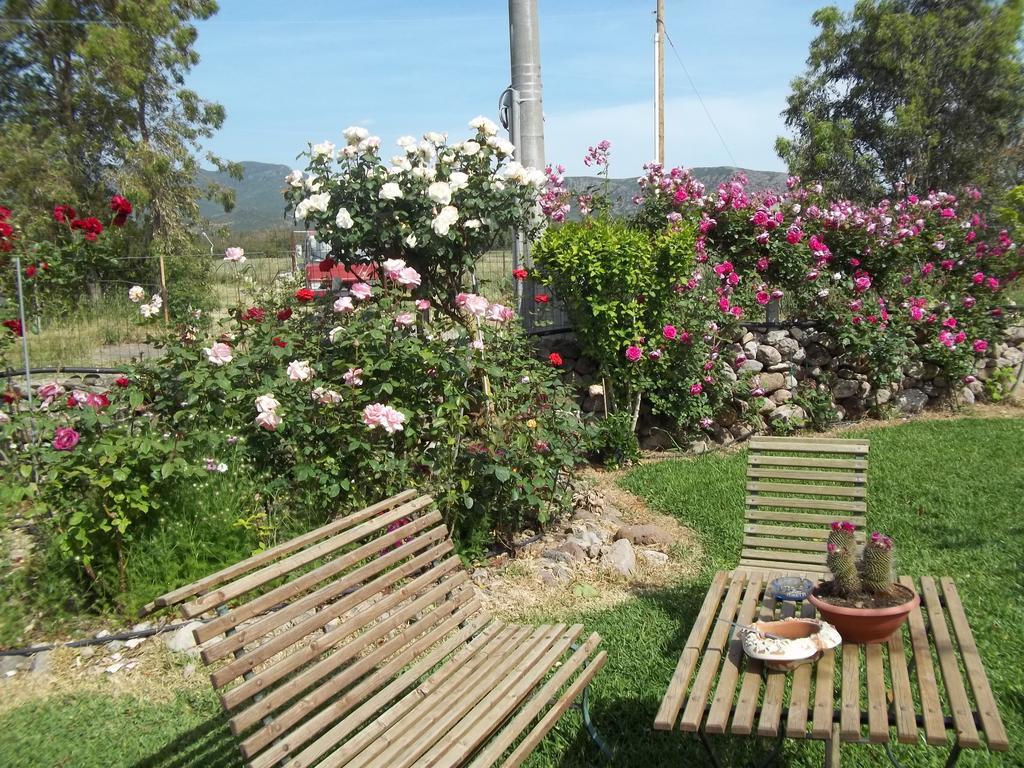 Il Vecchioliveto Di Ornella Acomodação com café da manhã Marrùbiu Quarto foto
