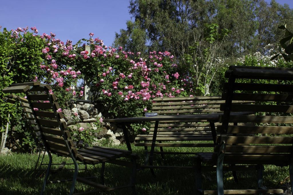 Il Vecchioliveto Di Ornella Acomodação com café da manhã Marrùbiu Exterior foto