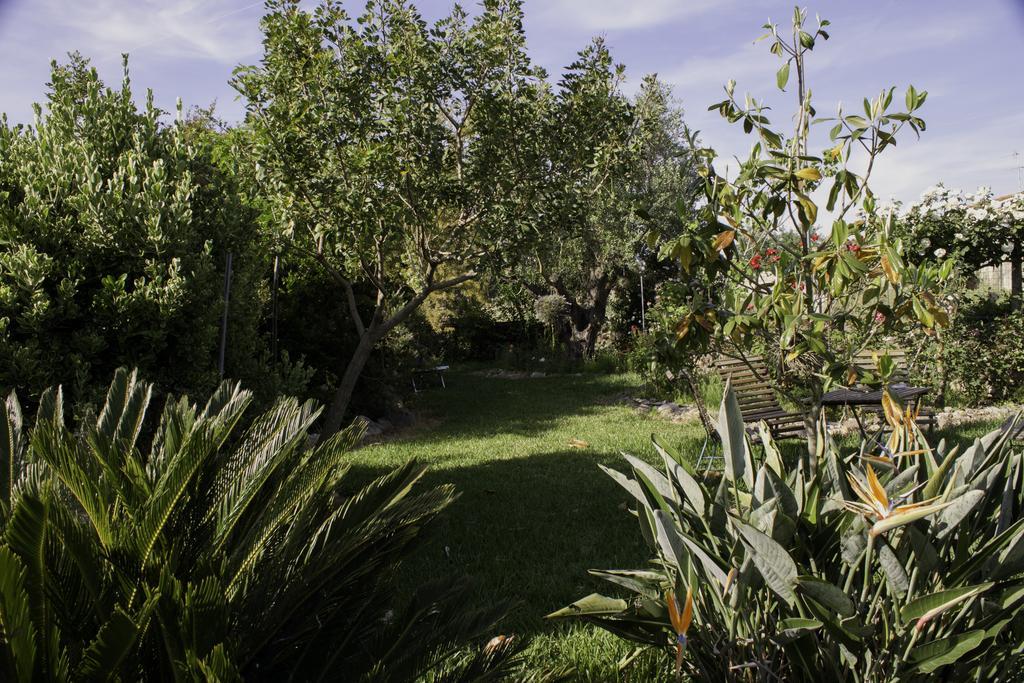 Il Vecchioliveto Di Ornella Acomodação com café da manhã Marrùbiu Exterior foto