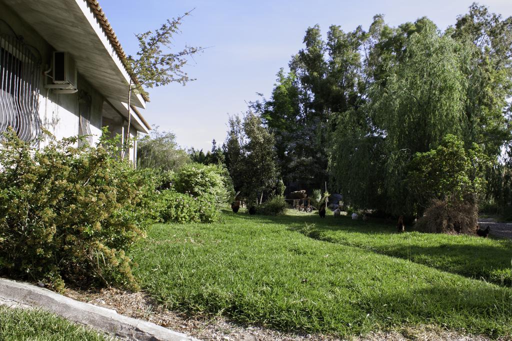 Il Vecchioliveto Di Ornella Acomodação com café da manhã Marrùbiu Exterior foto