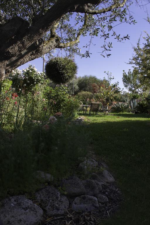 Il Vecchioliveto Di Ornella Acomodação com café da manhã Marrùbiu Exterior foto