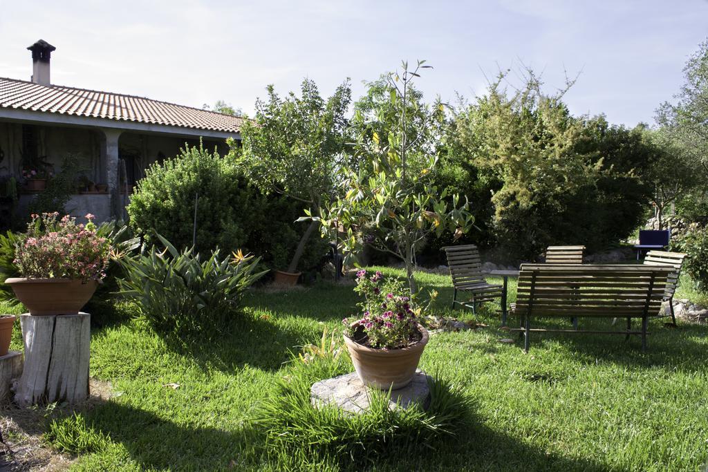 Il Vecchioliveto Di Ornella Acomodação com café da manhã Marrùbiu Exterior foto
